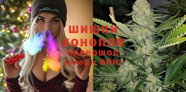 шишки Рославль