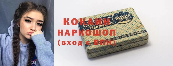 шишки Рославль