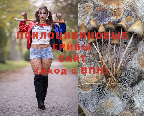 шишки Рославль
