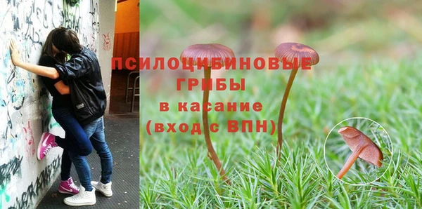 гидропоника Ростов