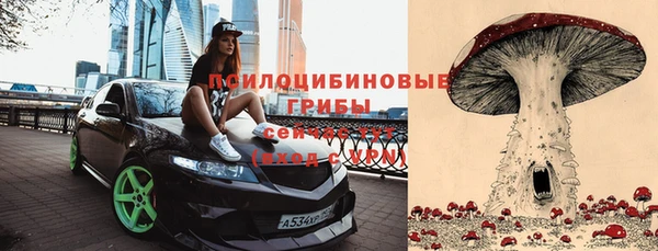 шишки Рославль