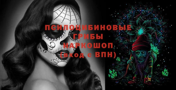 шишки Рославль