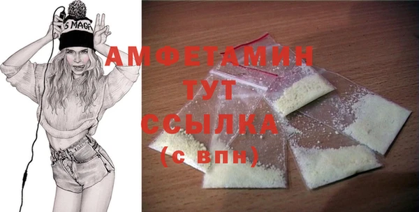 шишки Рославль