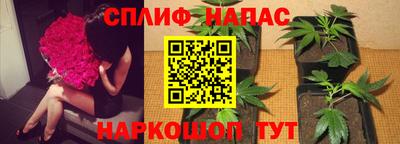 прущие грибы Бугуруслан