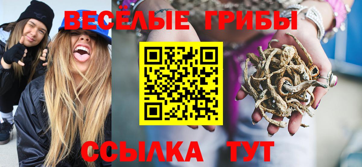 Псилоцибиновые грибы Cubensis  Вход с VPN  Грозный 