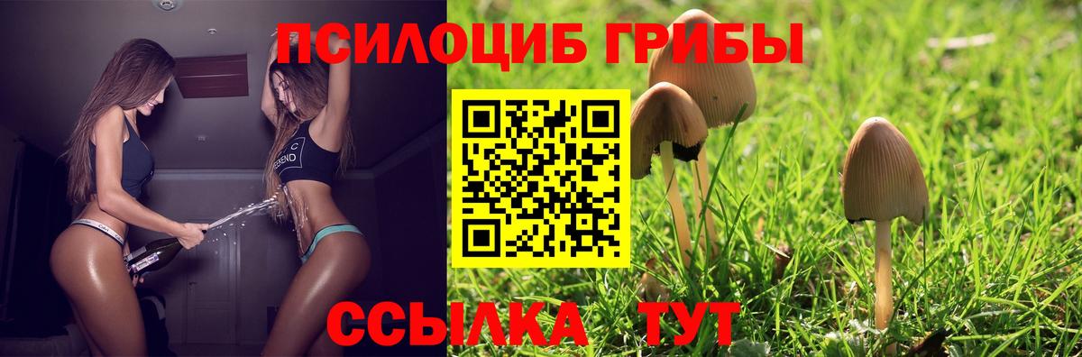 Галлюциногенные грибы GOLDEN TEACHER Грозный