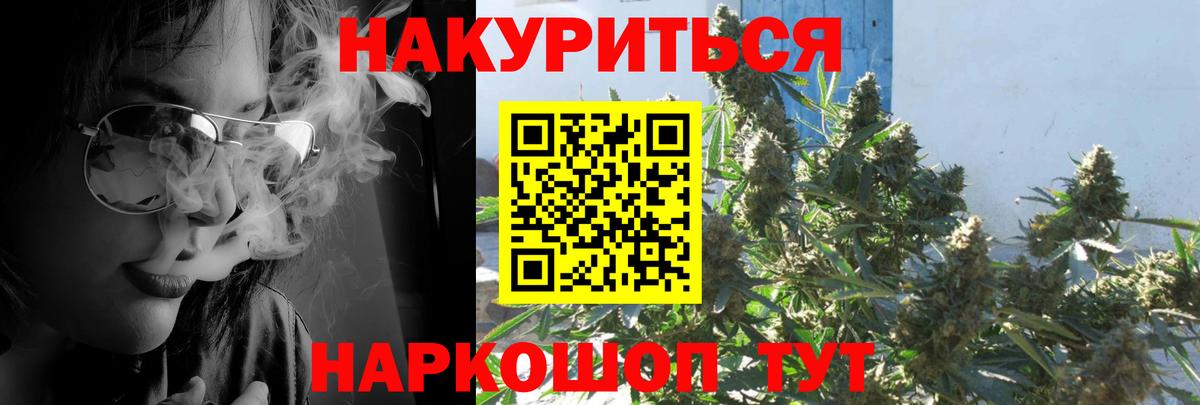 Конопля White Widow Грозный