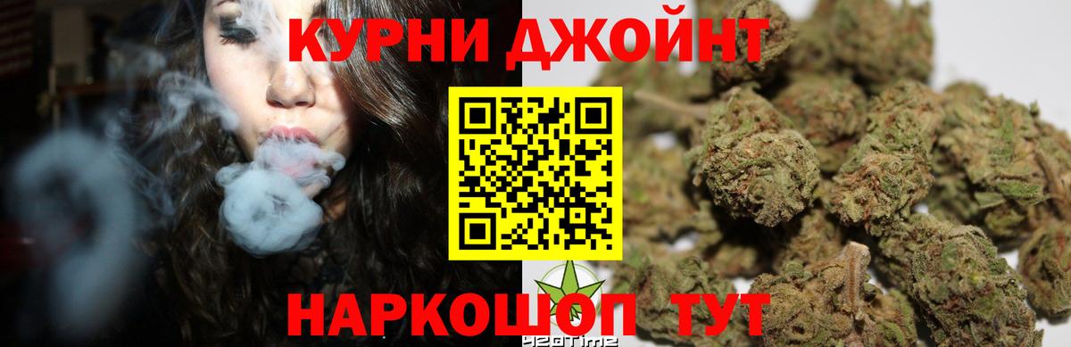 Бошки марихуана план  Канабис тримм  Канабис White Widow  Грозный 